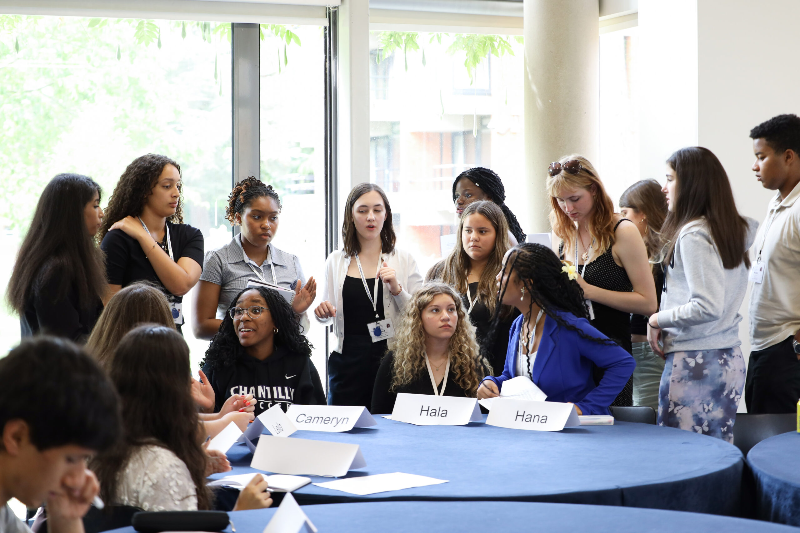 Crisis Simulation at OSP International Relations Summer Program